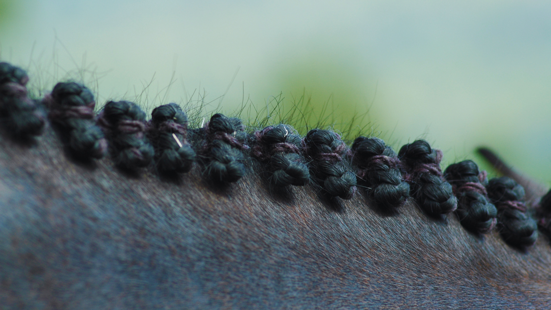 The Art of the Braid