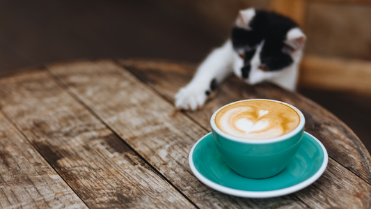 Rise and Shine: 15 Empowering Morning Affirmations to Supercharge Your Day