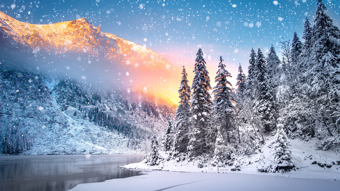 7 Tips to Get Your Home Ready for Winter