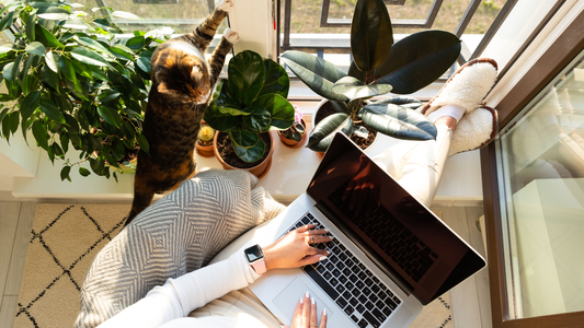 Building a Calm Life: What Pets and a New Home Teach You About Stability, Routine, and Joy