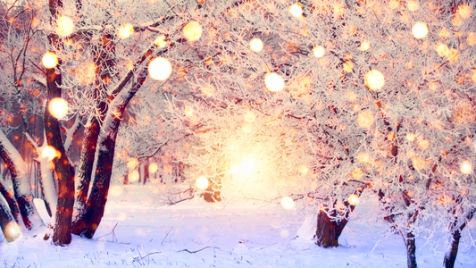 The Christmas Overthinker’s Survival Guide: How to Stay Sane When Your Brain Won’t Chil